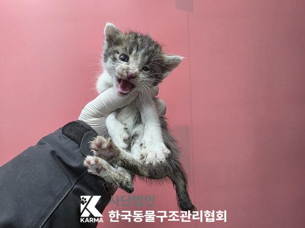 종료(자연사) 한국…